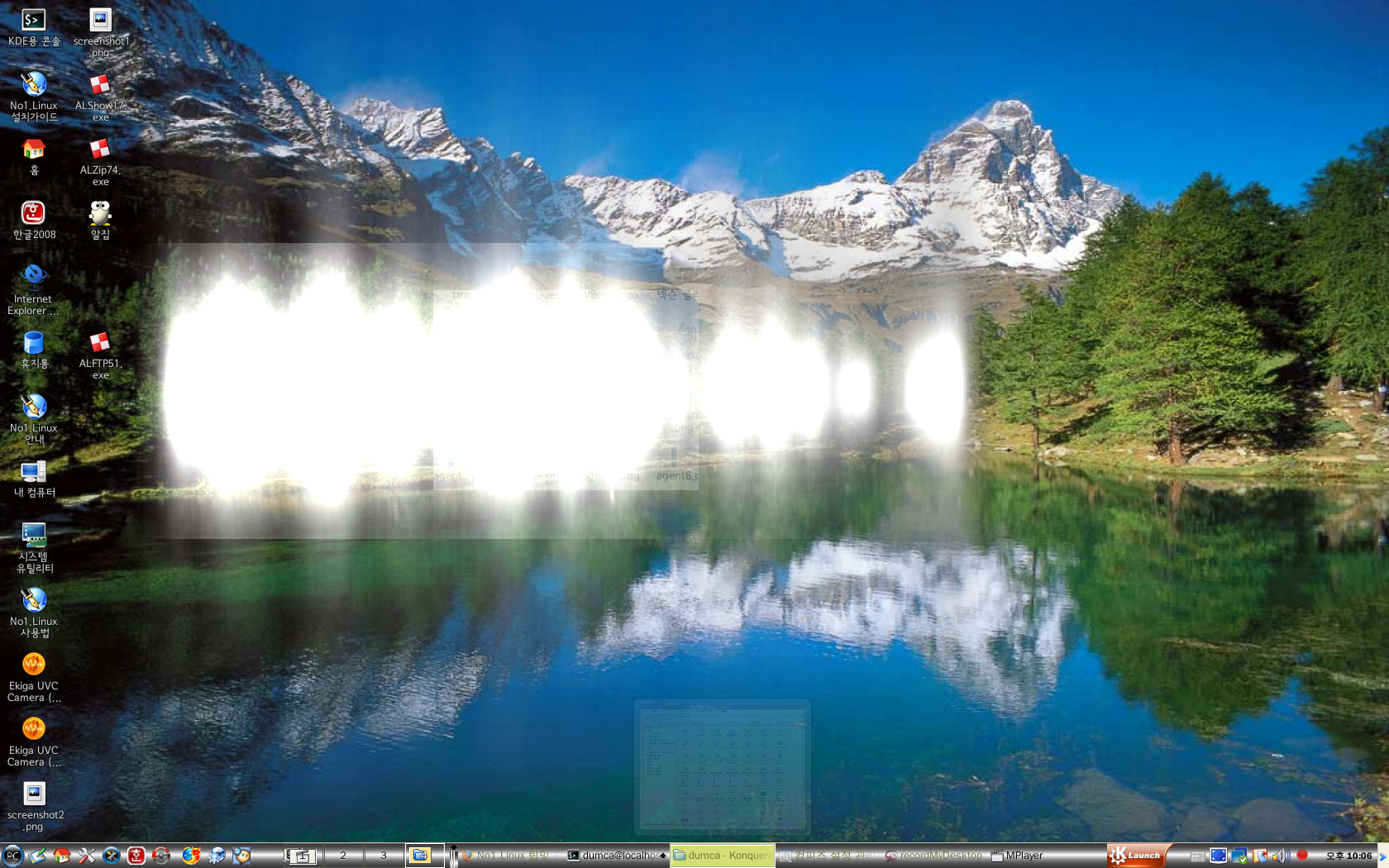 animations4.png