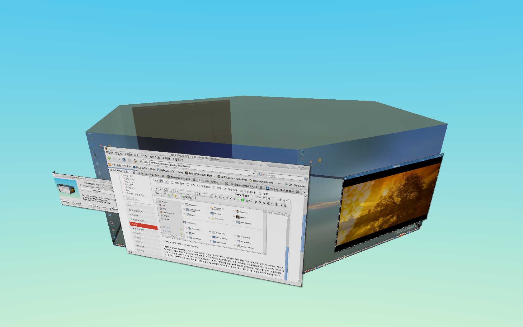 compizmanager2.png